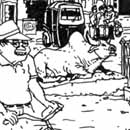 Cow on boulevard