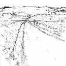 Route