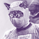 Dr Miaou